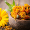 Calendula Oil 